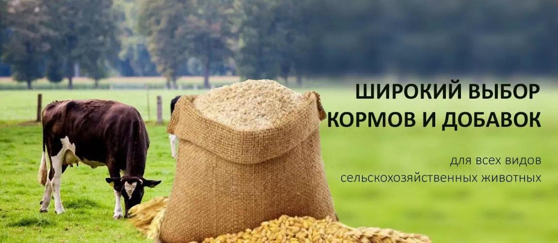 Производство комбикорма